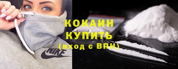 сатива Абинск