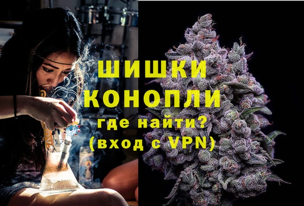 сатива Абинск