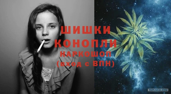 сатива Абинск
