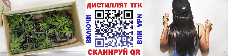 ТГК концентрат  ссылка на мегу вход  Элиста  купить  сайты 