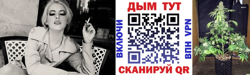 Шишки марихуана семена  дарк нет официальный сайт  Элиста 